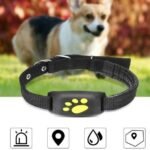 GPS Pet Tracker